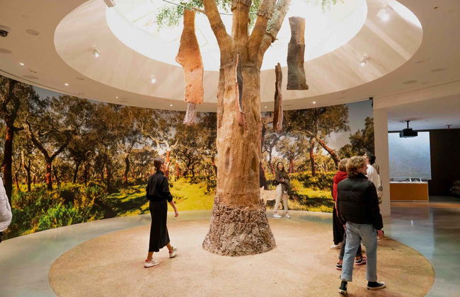 Entrada a un museo de WOW Porto - Foto 11