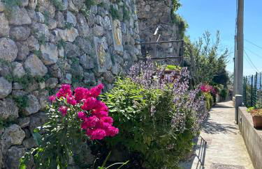 Casa Barone - Foto 21