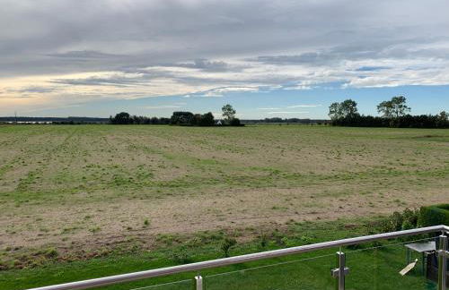 Zur Vogelwiese - Foto 5