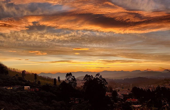 Songs of the Nilgiris - Foto 34