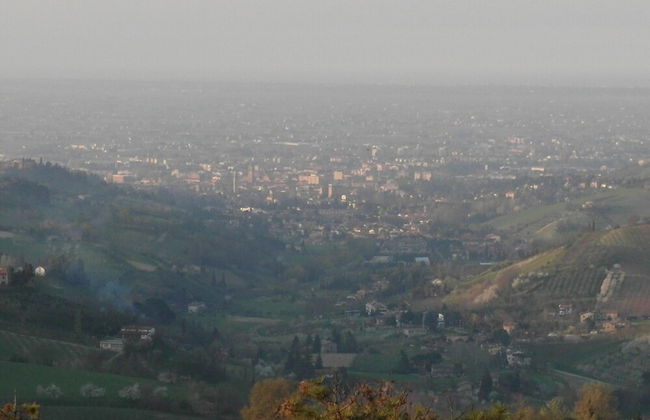 Boutique Villa with Sauna near Cesena - Photo 31