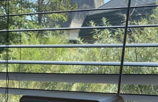 Holiday Home Klein Geluk - Foto 9