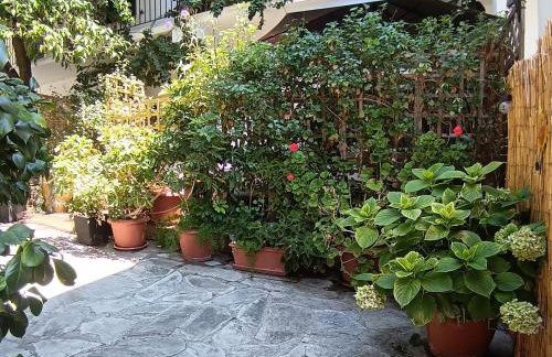 Olgas Cozy Nest Corfu retreat garden near Dassia - Foto 71