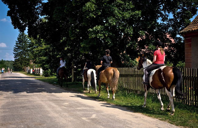 Sasek Maly Pensjonat Jazdy Konne - Photo 75
