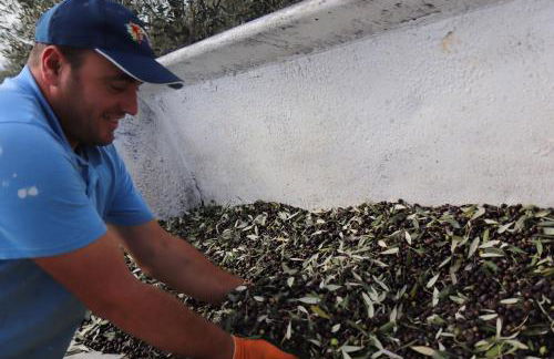 Agriturismo Podere L'Agave - Foto 64