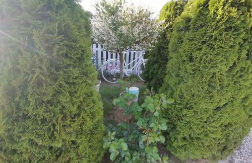 Domki Fala Family - Foto 33