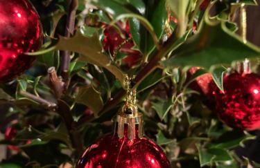 El Lagar de los Abuelos - Foto 15