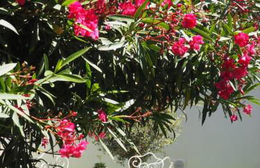 Toulousaine calme espace détente - Photo 24