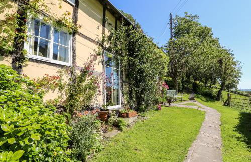 Lower Dolgenau- The Cottage - Foto 2