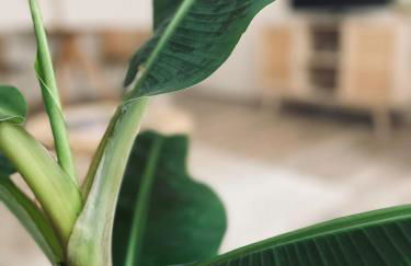 Apartment Boho Living - Foto 7