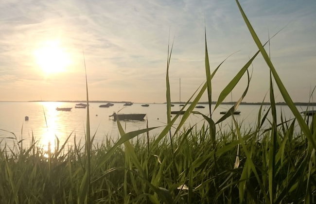 Bungalow in Klein Strtsmkendorf - Foto 19