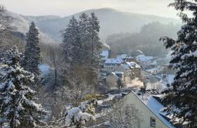 Waldhaus zum gechillten Hirsch in der Natur, bei der Moseltherme Traben-Trarbach - Foto 39