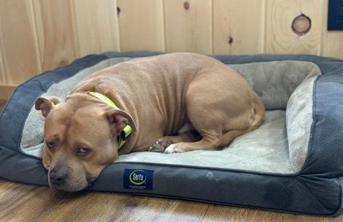 The Mont Haus - Minutes to Mt Snow & Stratton! - Foto 25