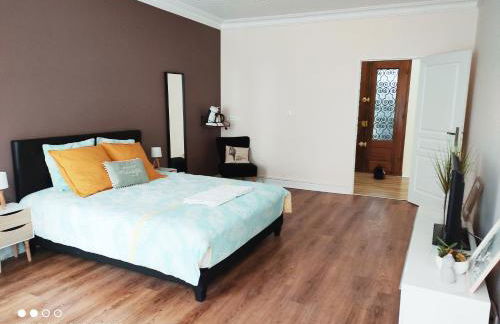 157m2, 4 chambres, 4 salles de bains, 2 WC, 2 parkings en hypercentre - Foto 10