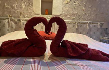 La tonnelle de Thoré - Foto 10