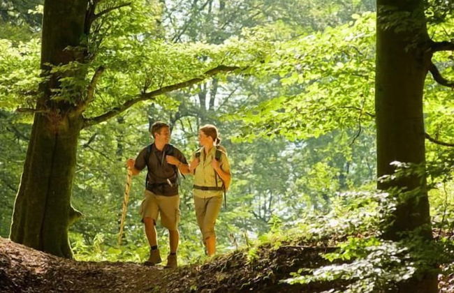 Nengshof - Haus Wildrose - Photo 40