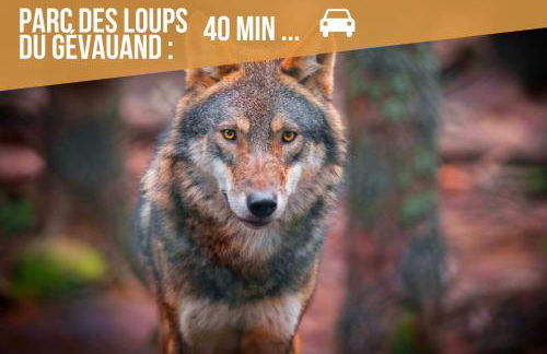 Le Cocon - Netflix/Wifi Fibre - Séjour Lozère - Foto 22