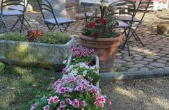 Residence Casa Lama - Foto 14