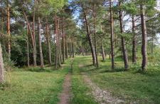 Ferienapartment Wilma - Foto 46