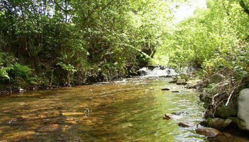 Apartamentos Rurales Ca Lulón - Foto 2