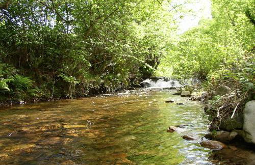 Apartamentos Rurales Ca Lulón - Foto 2