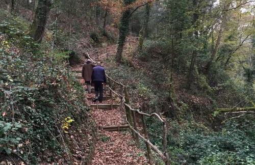 San Carlo a La Molinella - Photo 68