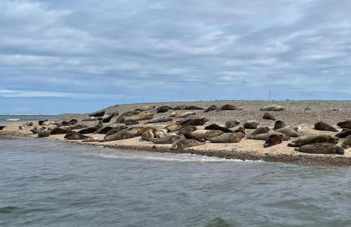 6BR Luxury Beach House Hot Tub & Sea Views - Foto 34