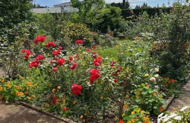 Villa Philipp'inn - Foto 9