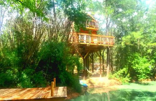 Waterfront Treehouse in a Magical Forest - Foto 1