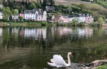 Ferienwohnungen und Gästezimmer Peter Busch - Foto 23