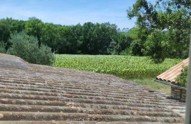 Saint Laurent - Foto 15