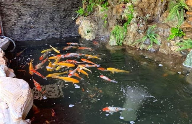 Khamy Riverside Resort - Photo 7