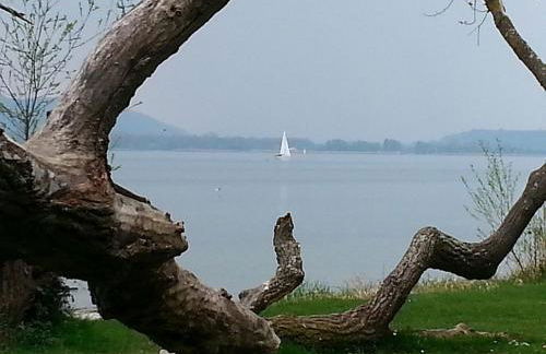 Ferienwohnung M. König - Photo 22