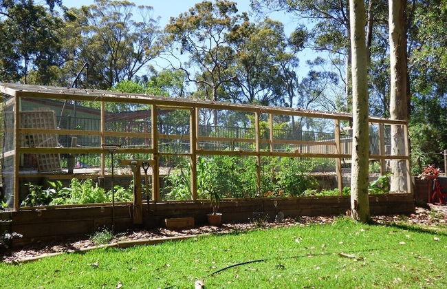 Werekataba - Foto 32