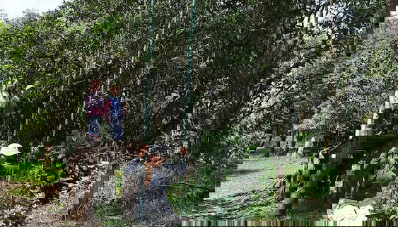 Rumipamba del Zuro Casa Hacienda - Foto 4, Ökotouren