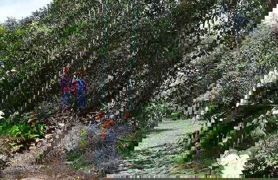 Rumipamba del Zuro Casa Hacienda - Photo 4