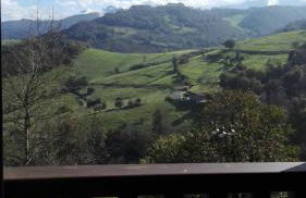 Apartamentos El Llanin - Foto 13