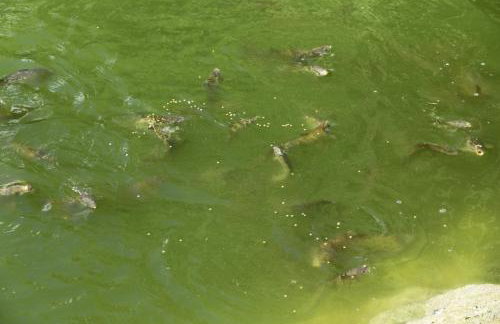 Thonock lane lodge - Foto 10