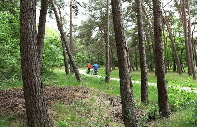 Woodland Group Villa Near Veluwe & Campfire - Foto 57