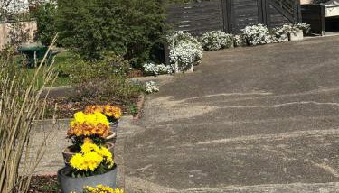 Grand appartement au cœur de la région alsacienne - Foto 4