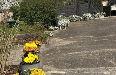 Grand appartement au cœur de la région alsacienne - Photo 4