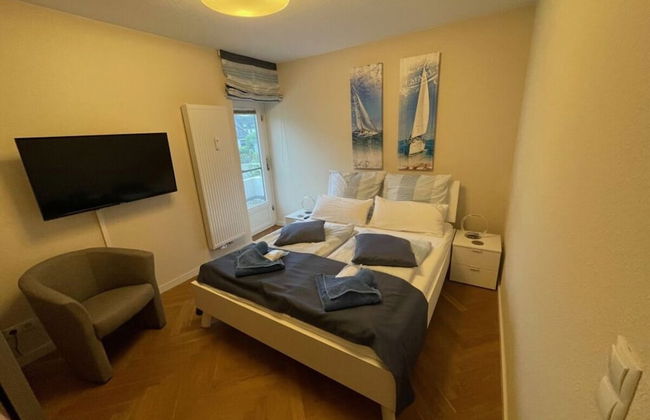 Herring Gull - Foto 2