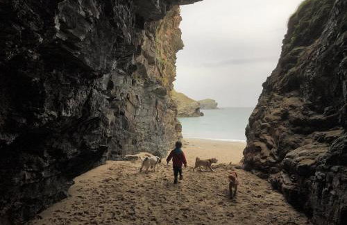 Higher Trewithen - Photo 40