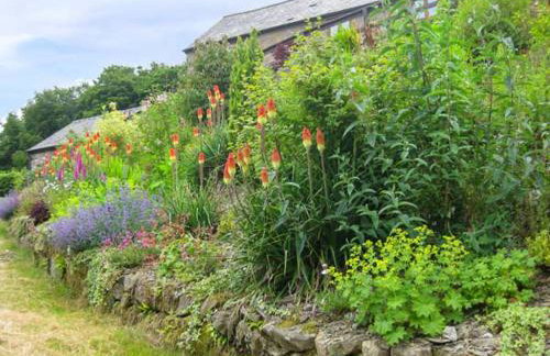 Little Cow House - Foto 32