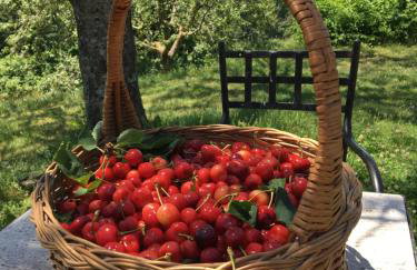 Agriturismo La Casina della Burraia - Foto 39