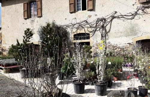 Gîte de France Gîte de la pépinière de chapi 2 épis - Gîte de France 4 personnes MAE-4631 - Foto 37