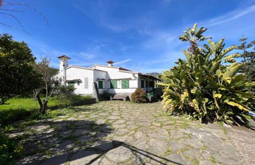 Casa La Veguetilla en San Mateo - Foto 16