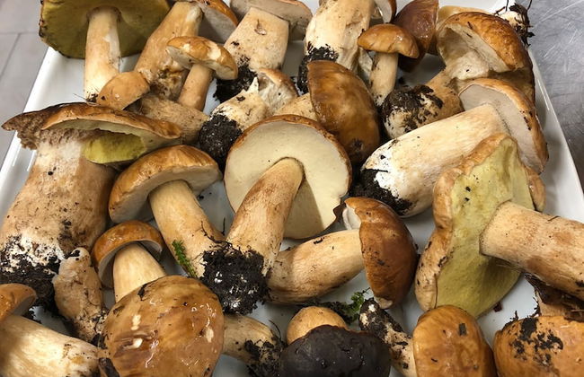 Agriturismo Monte a Pescia - Foto 75