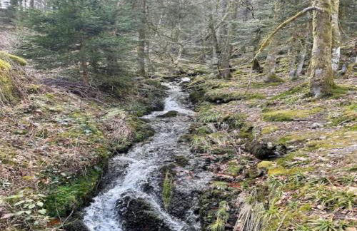 Elegant Chalet in Gerbepal in Cosy Environment - Foto 61