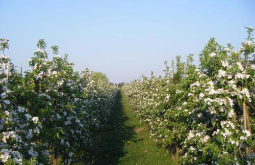 Ferienwohnung Werner - Foto 12